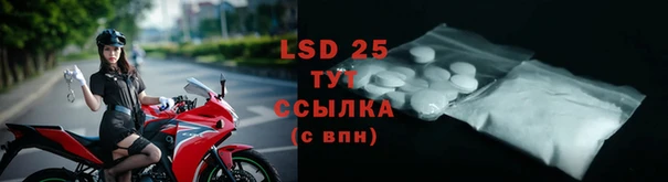 apvp Сясьстрой