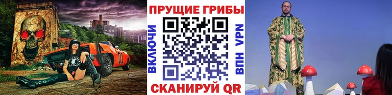 сколько стоит  Нижний Тагил  KRAKEN ссылка  Псилоцибиновые грибы MAGIC MUSHROOMS 